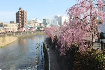 IMG_5536_convert_20130406135812.jpg
