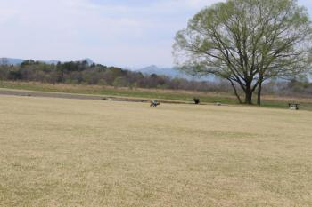 IMG_5588_convert_20130410131830.jpg