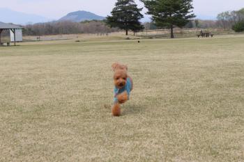 IMG_5594_convert_20130410131859.jpg