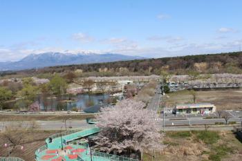IMG_5619_convert_20130413191245.jpg