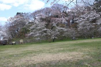 IMG_5642_convert_20130413191619.jpg