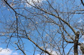 IMG_5644_convert_20130413191729.jpg