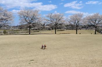 IMG_5648_convert_20130413191813.jpg