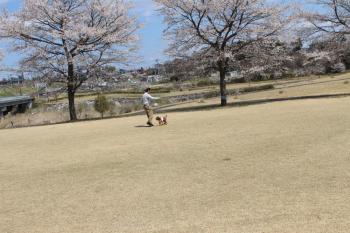 IMG_5652_convert_20130413191930.jpg
