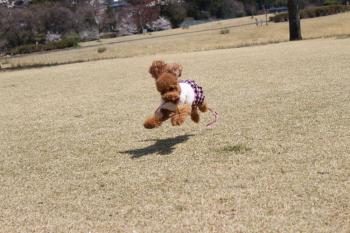 IMG_5659_convert_20130413192033.jpg