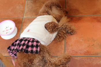 IMG_5672_convert_20130413192145.jpg
