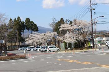 IMG_5696_convert_20130413192636.jpg