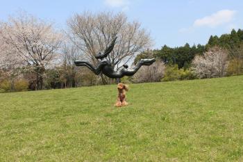 IMG_5762_convert_20130417122614.jpg