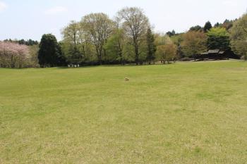 IMG_5764_convert_20130417122652.jpg