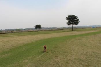 IMG_5801_convert_20130417123050.jpg