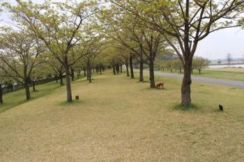 IMG_5807_convert_20130418175253.jpg
