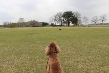 IMG_5821_convert_20130418180249.jpg