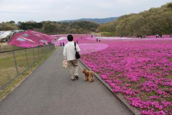 IMG_5862_convert_20130420154707.jpg
