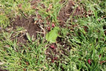 IMG_5909_convert_20130425155459.jpg