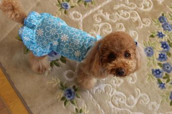 IMG_5933_convert_20130426183801.jpg