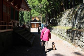 IMG_5946_convert_20130428154832.jpg