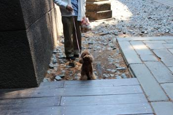 IMG_5962_convert_20130428155623.jpg