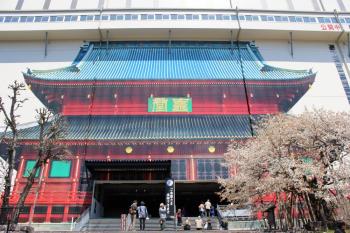 IMG_5983_convert_20130428155936.jpg