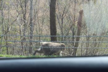 IMG_5990_convert_20130428160210.jpg