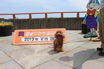IMG_6127_convert_20130430154732.jpg