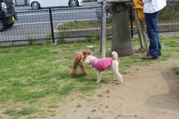 IMG_6143_convert_20130430155059.jpg