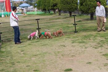 IMG_6147_convert_20130430154936.jpg