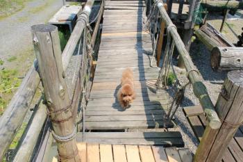 IMG_6237_convert_20130505174032.jpg