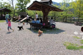 IMG_6249_convert_20130505174330.jpg