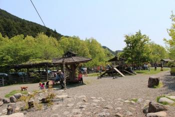 IMG_6260_convert_20130505174428.jpg