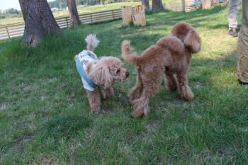 IMG_6280_convert_20130508081109.jpg