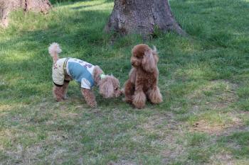 IMG_6288_convert_20130508081203.jpg