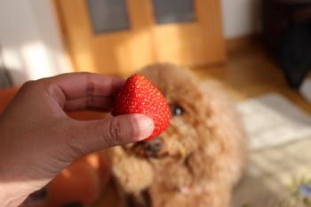 IMG_6321_convert_20130508081627.jpg