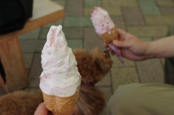 IMG_6449_convert_20130514104617.jpg