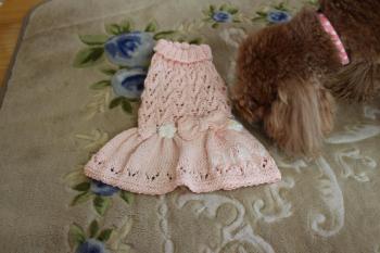 IMG_6484_convert_20130512155304.jpg