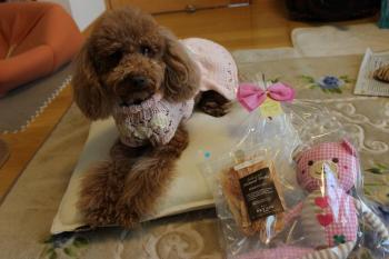 IMG_6515_convert_20130512155728.jpg