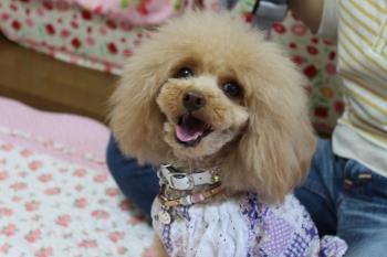 IMG_6553_convert_20130516181016.jpg