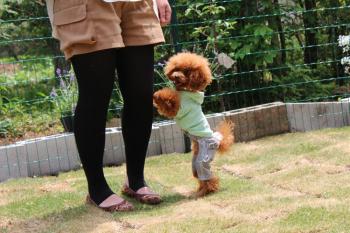 IMG_6667_convert_20130516184350.jpg