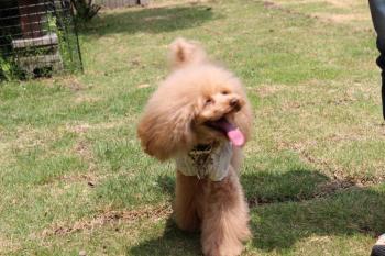 IMG_6672_convert_20130516184423.jpg