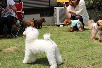 IMG_6704_convert_20130516184539.jpg