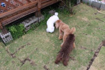 IMG_6730_convert_20130516184717.jpg