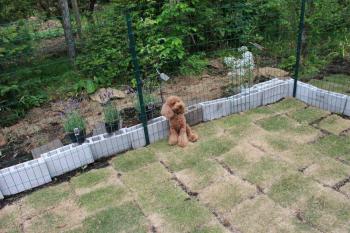 IMG_6741_convert_20130516184814.jpg