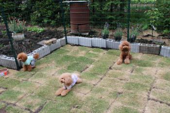 IMG_6784_convert_20130516185233.jpg