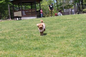 IMG_6838_convert_20130519174704.jpg