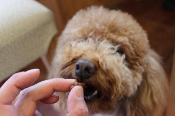 IMG_6859_convert_20130519175119.jpg