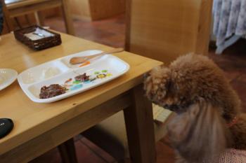 IMG_6864_convert_20130519175154.jpg