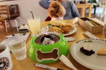 IMG_6876_convert_20130519175332.jpg