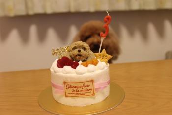 IMG_6895_convert_20130519175731.jpg