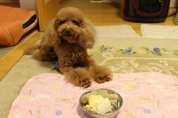 IMG_6908_convert_20130519180316.jpg
