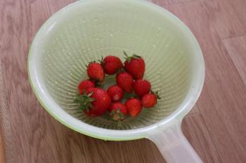 IMG_6954_convert_20130524085745.jpg