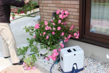 IMG_7014_convert_20130529093217.jpg